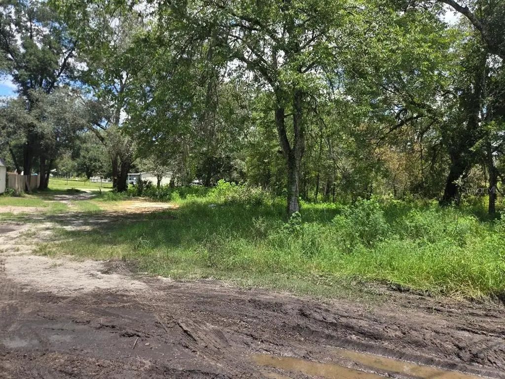 39249 Lizabeth Circle, ZEPHYRHILLS
