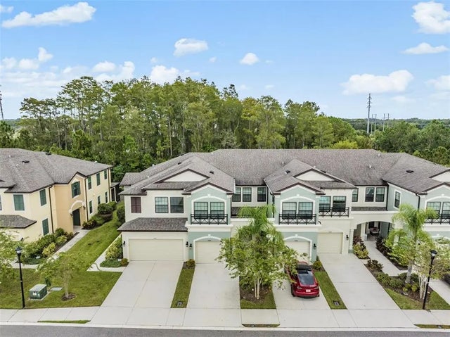 9248 Fox Sparrow Road, TAMPA