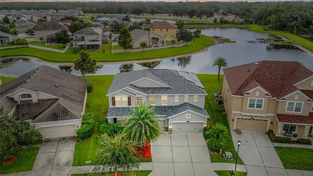 20015 Bears Track Lane, TAMPA
