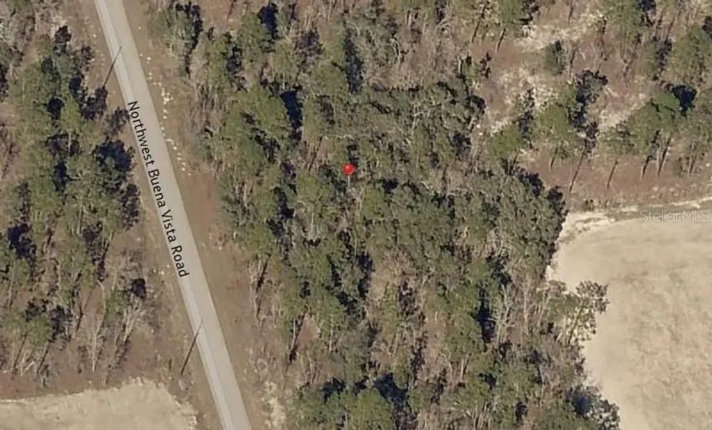 13 Nw Buena Vista Road, DUNNELLON