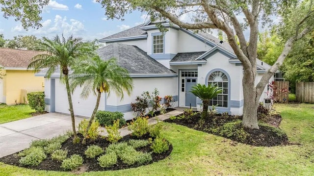9806 Bennington Drive, TAMPA