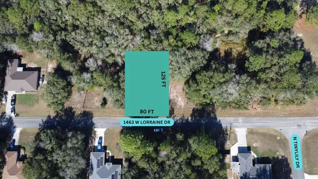 1463 W Lorraine Drive, CITRUS SPRINGS