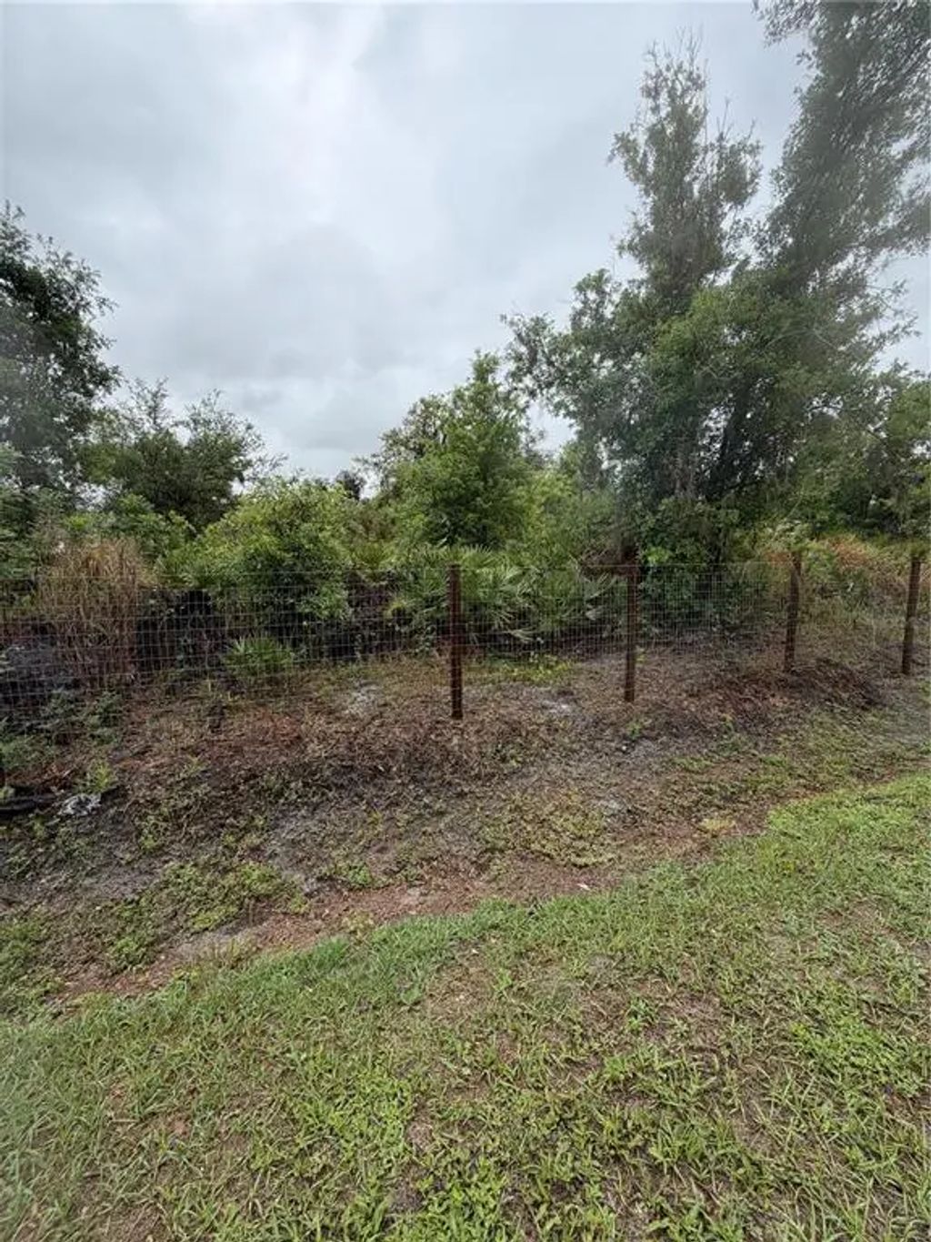 Sink Hole Road, BARTOW