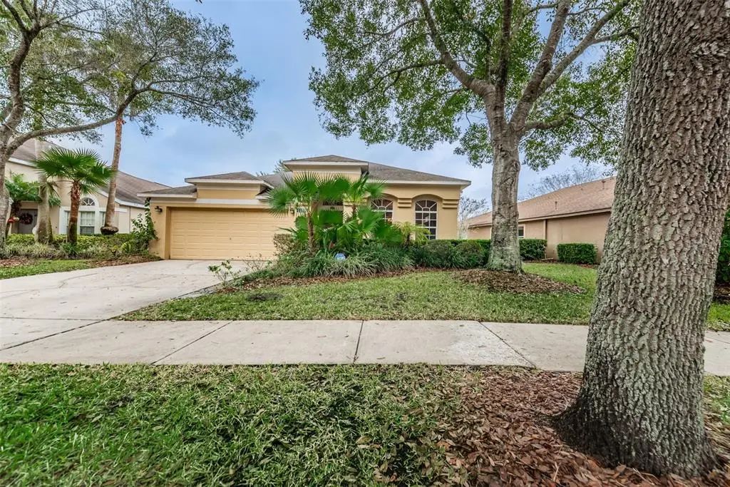11803 Lancashire Drive, TAMPA