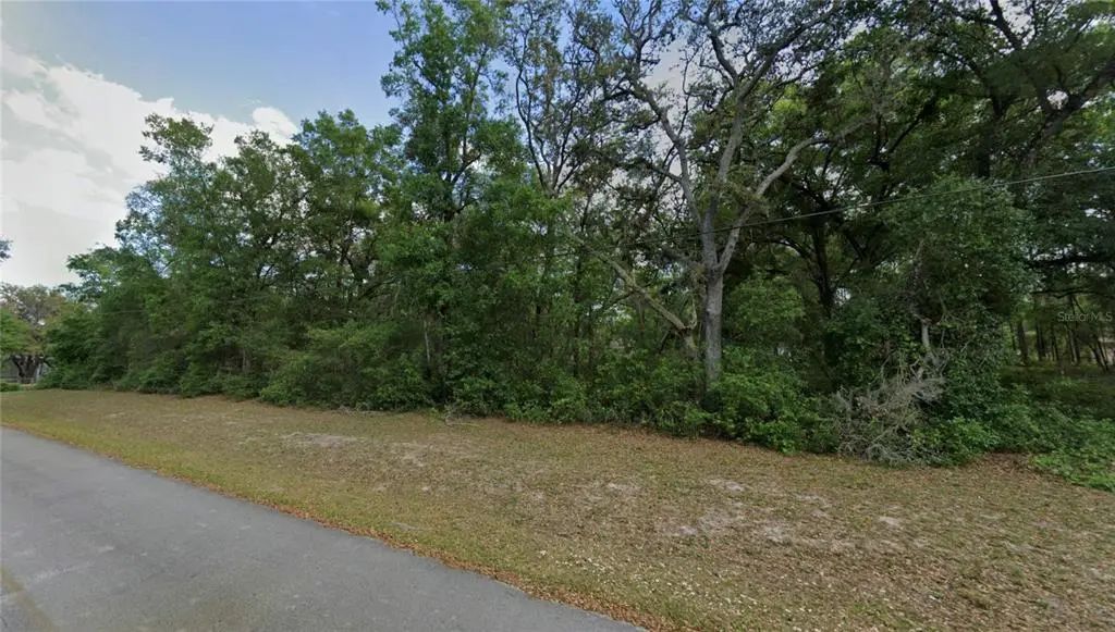 Tbd Se 59th Street, OCKLAWAHA