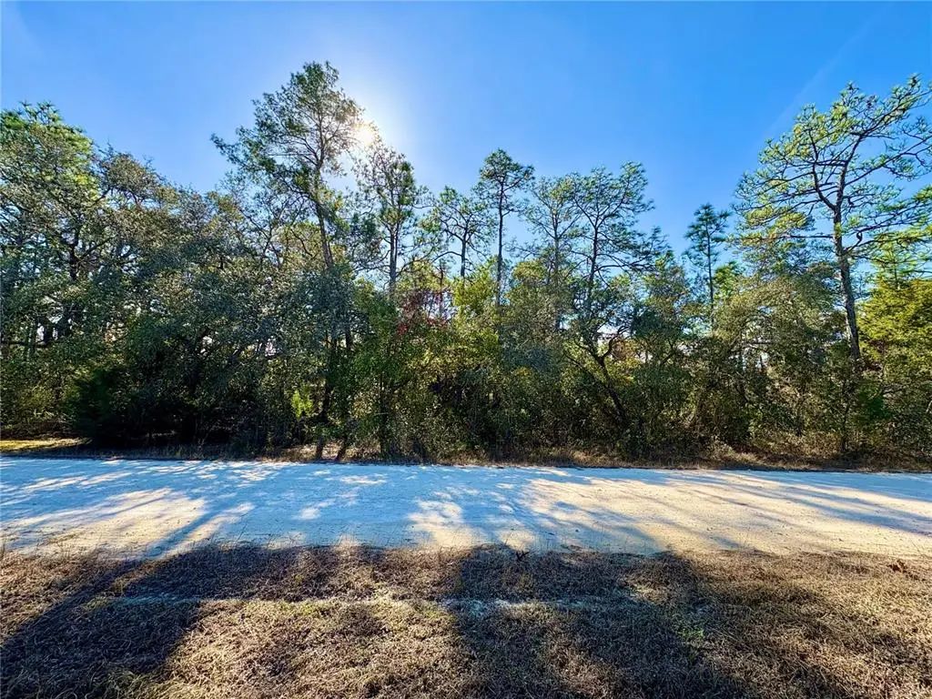 9164 Birmingham Avenue, WEEKI WACHEE