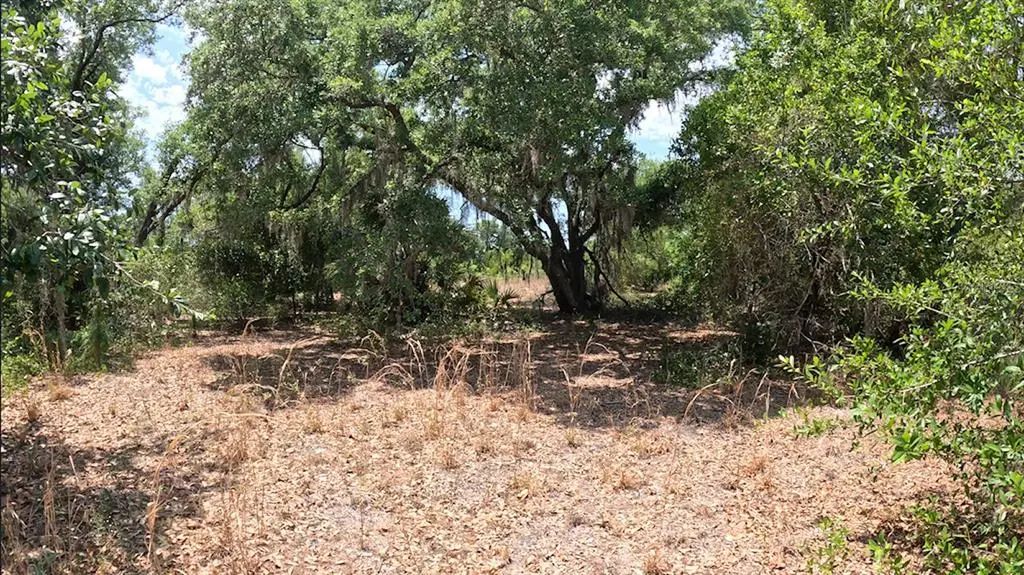 Hamer Terrace Lot 25, NORTH PORT