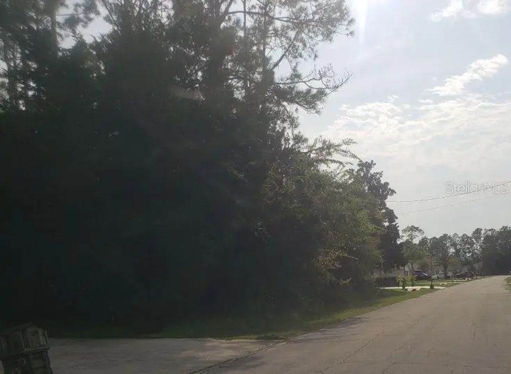 74 Randolph Drive, PALM COAST