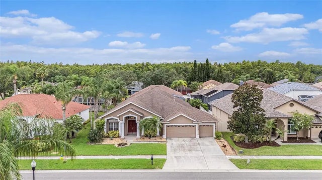 10019 Oxford Chapel Drive, TAMPA