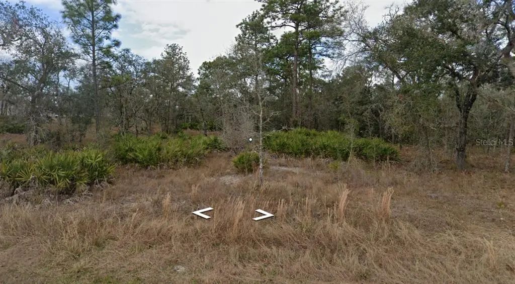 11353 Quill Avenue, BROOKSVILLE