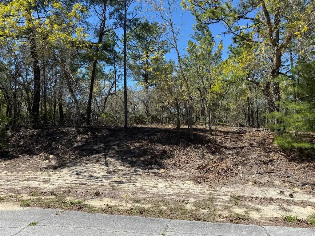 10776 N Moreno Drive, DUNNELLON