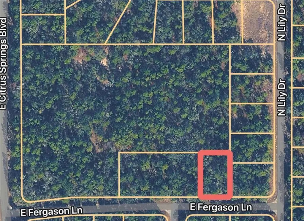 1409 E Fergason Lane, Citrus Springs