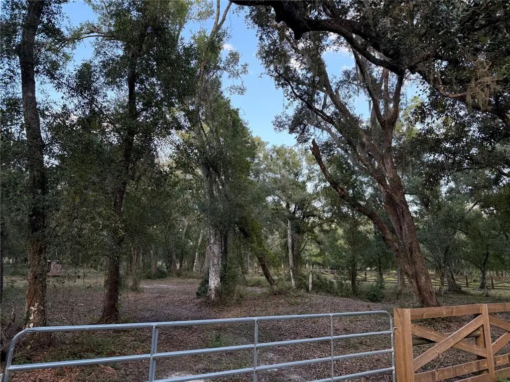 Se Brown Road, ARCADIA