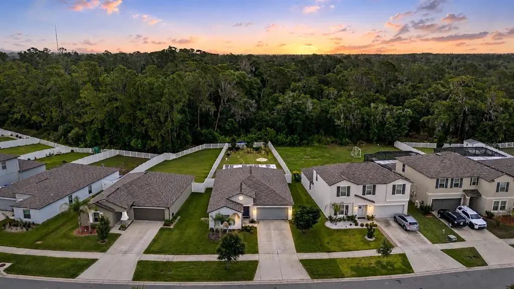 13411 Willow Bluestar Loop, RIVERVIEW