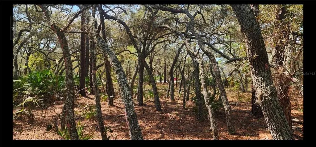 18106 Parakeet Road, BROOKSVILLE