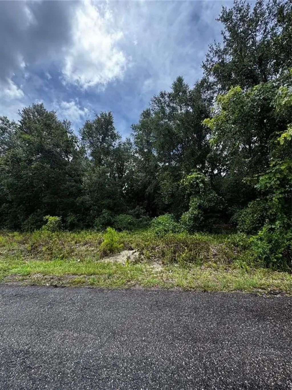 Se 115th Place Rd., OCKLAWAHA