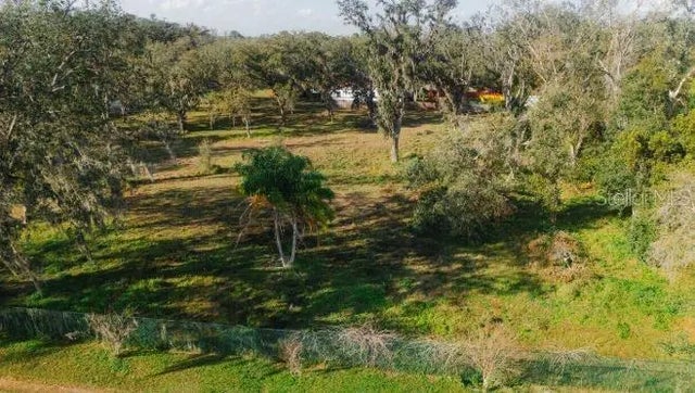 Avonwood Street, TAMPA