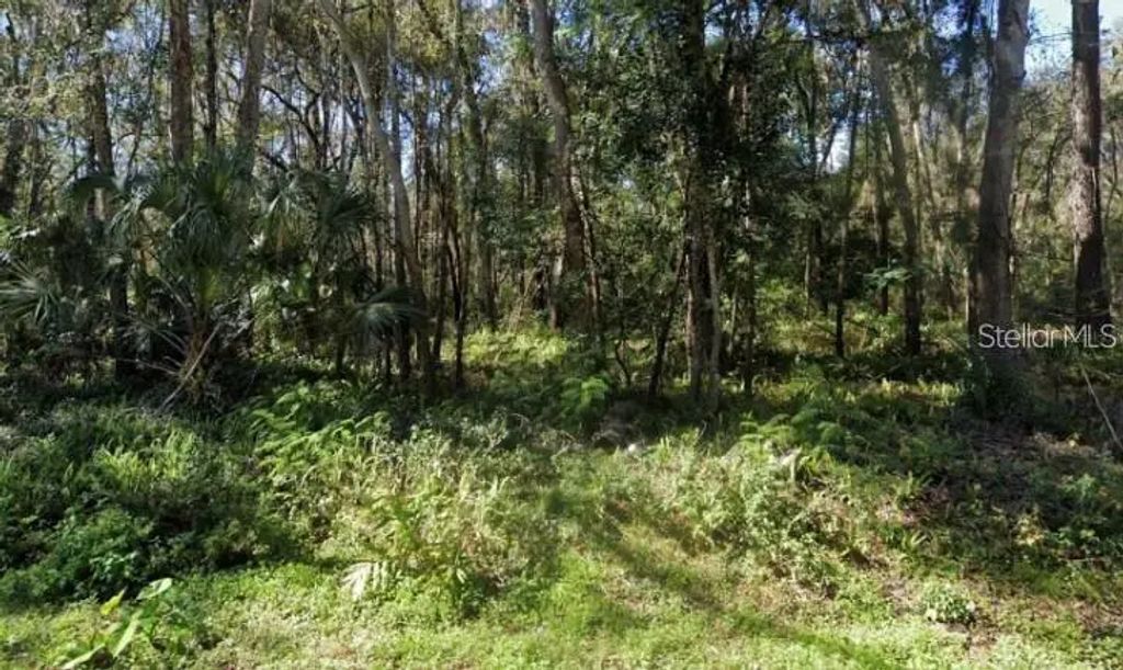 Zoller Street, BROOKSVILLE