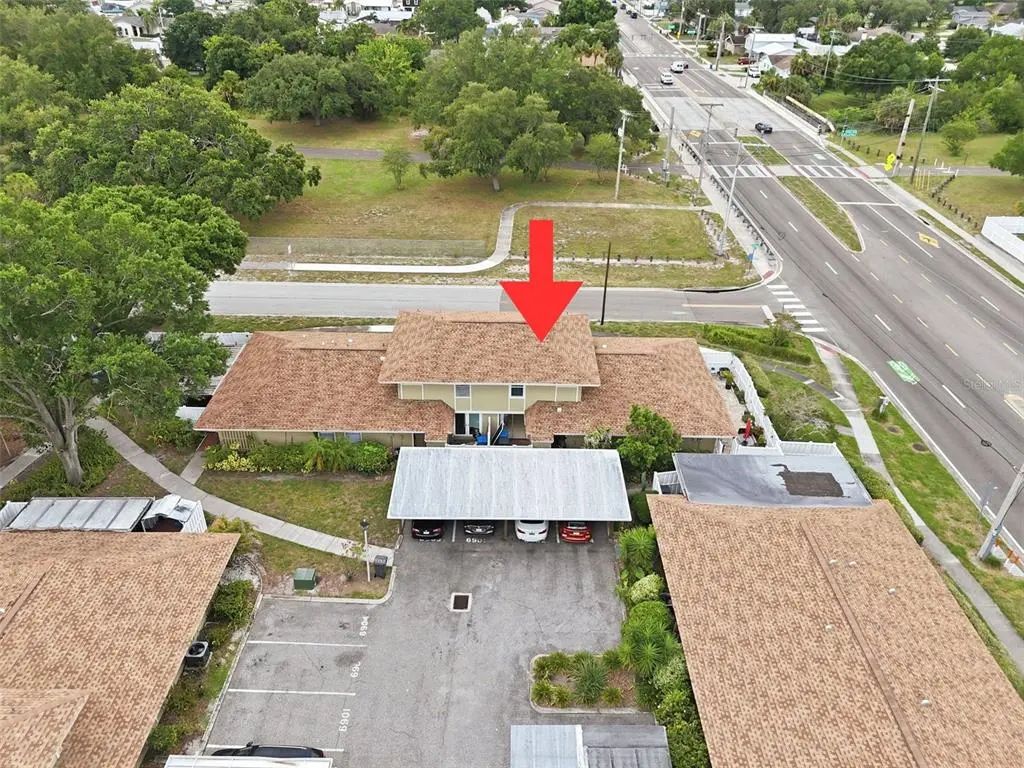 6902 El Centro Court, TAMPA