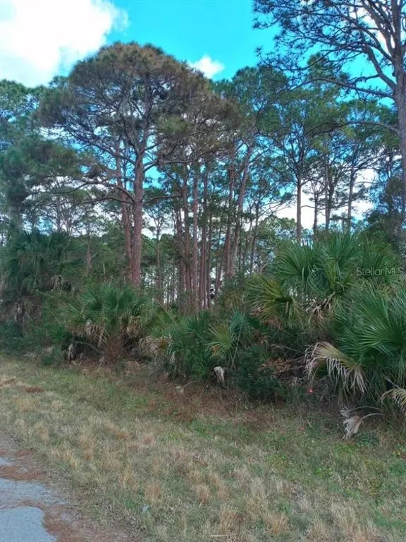 12147 Kraft Avenue, PORT CHARLOTTE