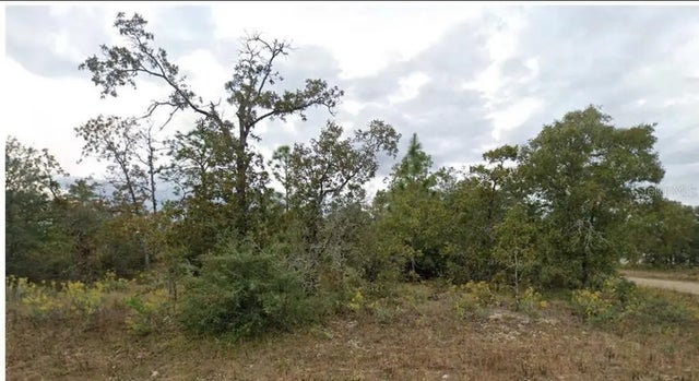 Esmont Avenue, CHIPLEY