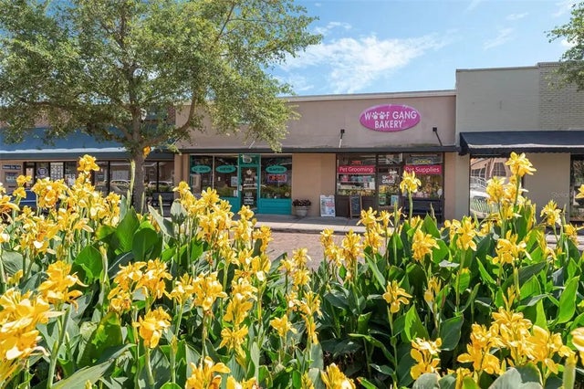 18 & 20 E Plant Street, WINTER GARDEN