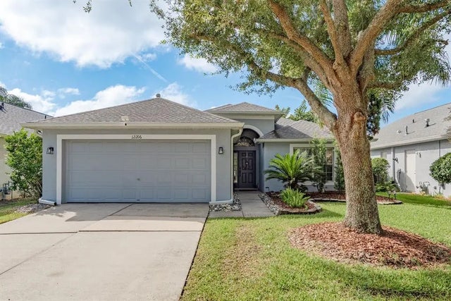 12206 Coldstream Lane, TAMPA