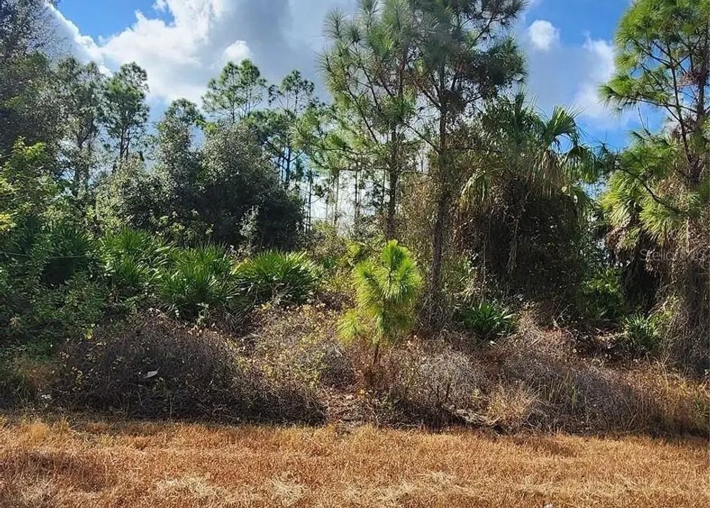 Filbert Street, NORTH PORT