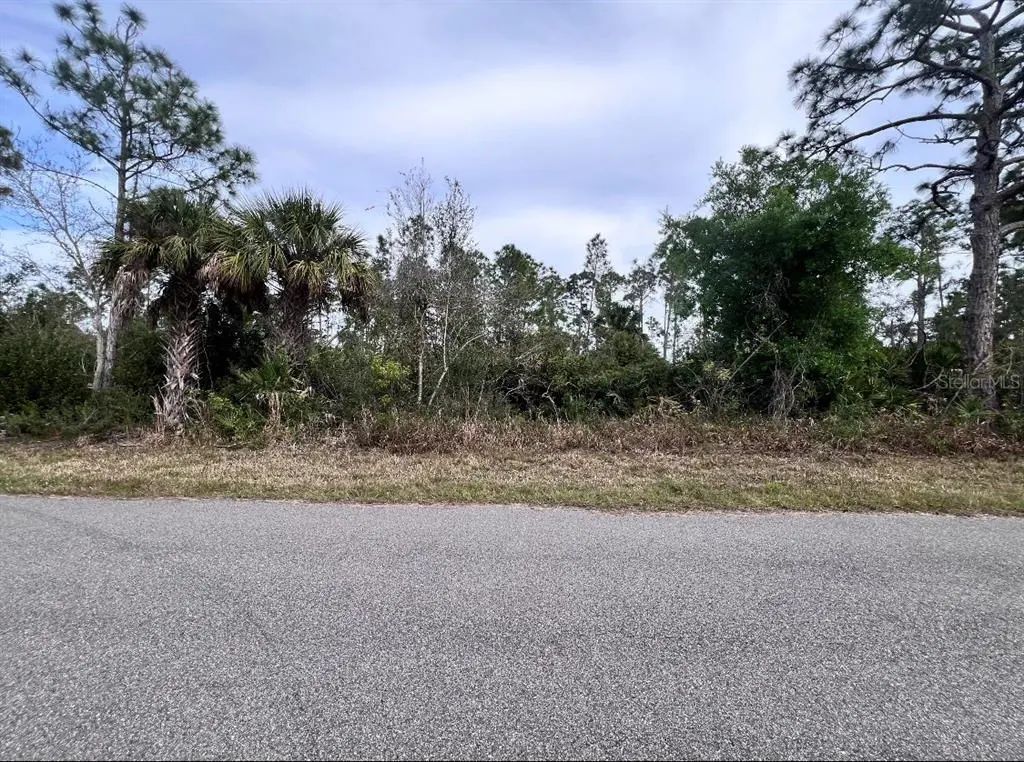 88 Mordecal Street, PORT CHARLOTTE
