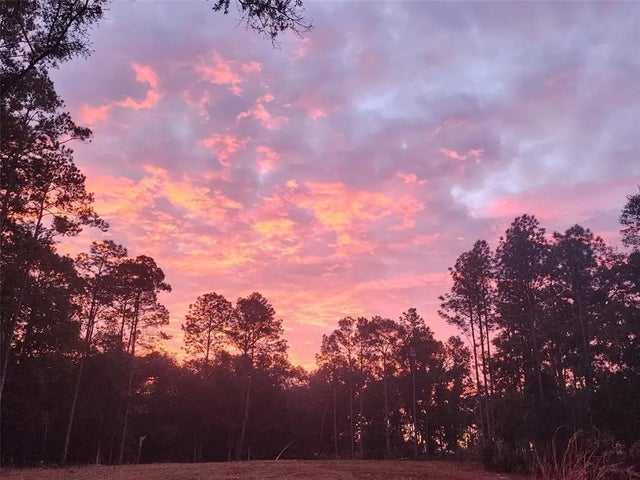 12864 Sw 41st Place, OCALA