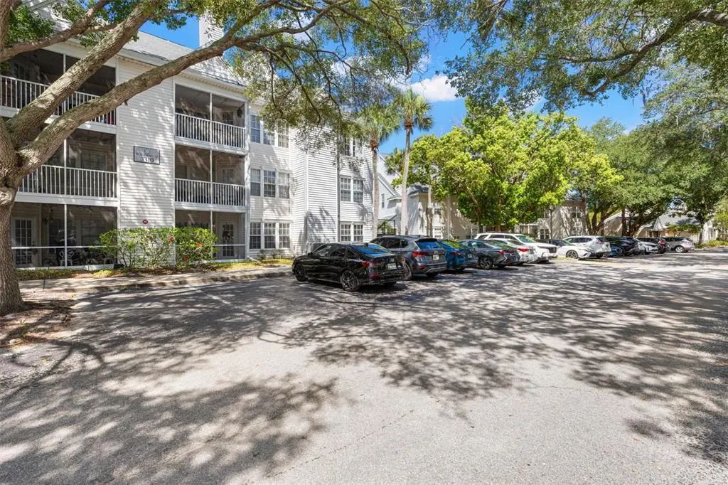 3310 Haviland Court 104, PALM HARBOR