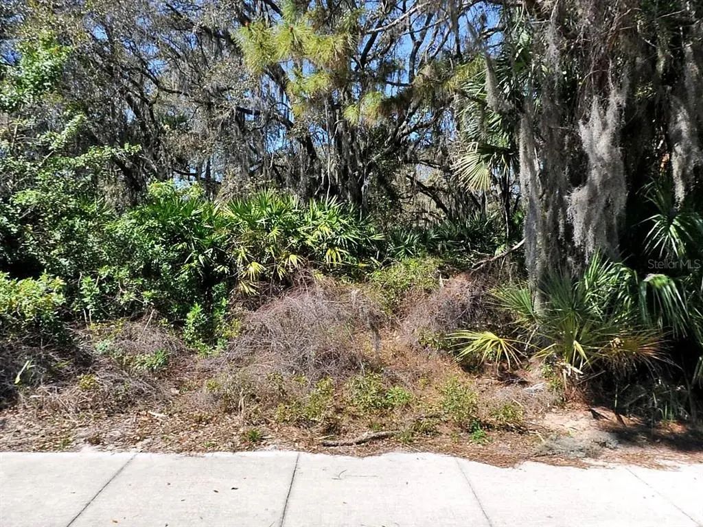 Channing Avenue, NORTH PORT