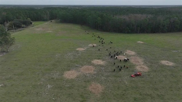 Berry Groves Rd Dr, CLERMONT