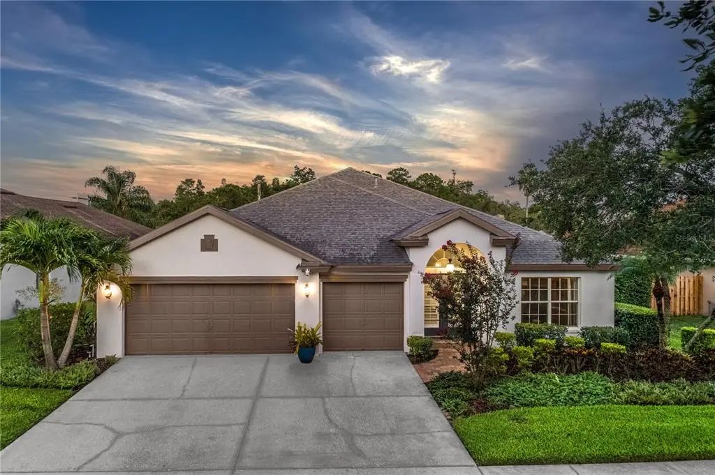 10231 Millport Drive, TAMPA