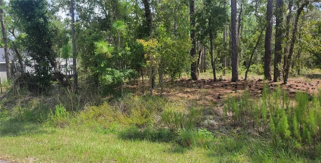 Nw Hillsdale Avenue, DUNNELLON