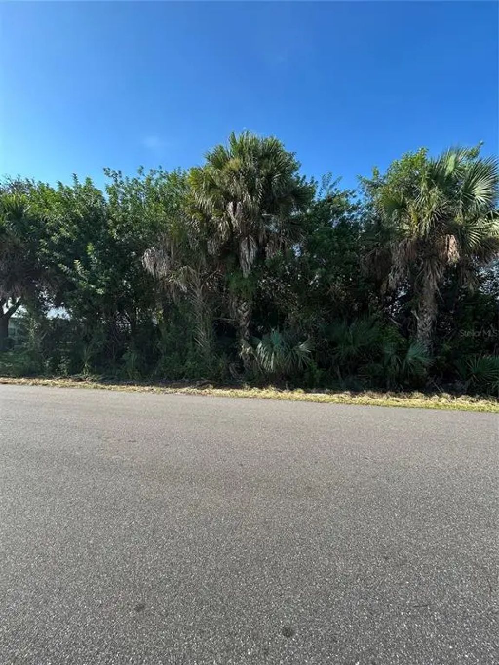 171 Lagoon Street Sw, PALM BAY