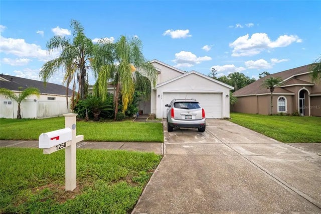 1250 Timber Trace Drive, WESLEY CHAPEL