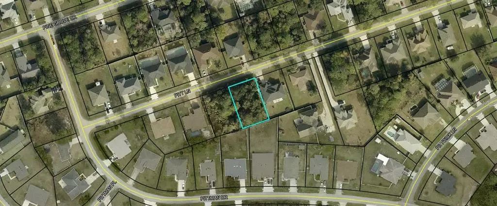 10 Pitt Lane, PALM COAST