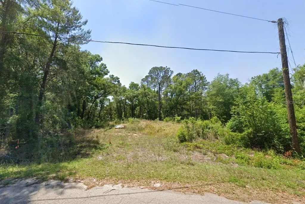 77 Bay Court Pass, OCKLAWAHA