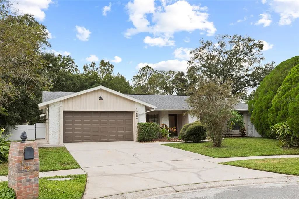 15804 Ironware Place, TAMPA