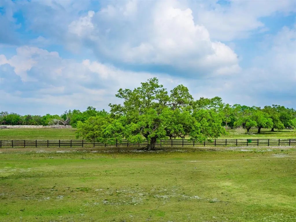 Gulf Shores Realty: 29 22e99b766856374df84409a5f65a84ca l