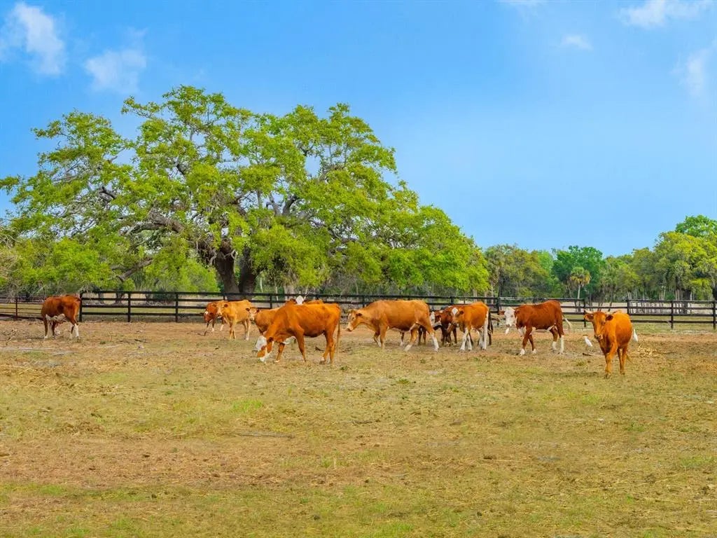 Gulf Shores Realty: 30 f263c73a17ffc5279ad04222bb2dcb21 l