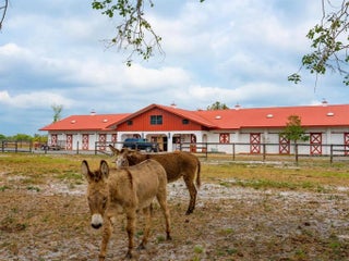 Gulf Shores Realty: 39 0917634c8ca4abadd2938e36add52e0f s