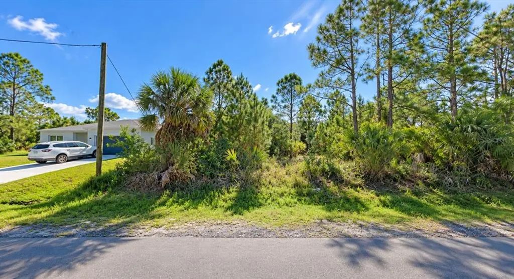 3201 Fitzpatrick Avenue Sw, PALM BAY