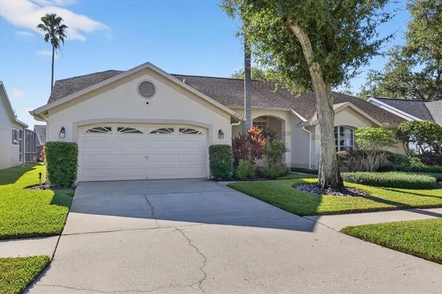 9203 Sunflower Drive, TAMPA