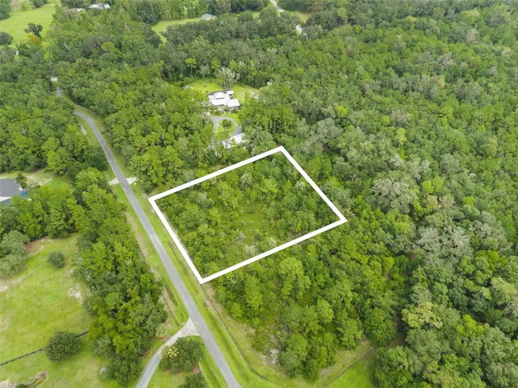 12563 Sw 17th Drive, MICANOPY
