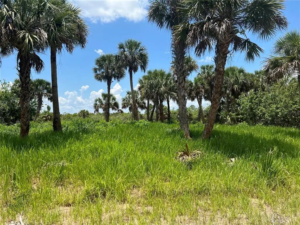 3026 Sage Avenue Sw, PALM BAY