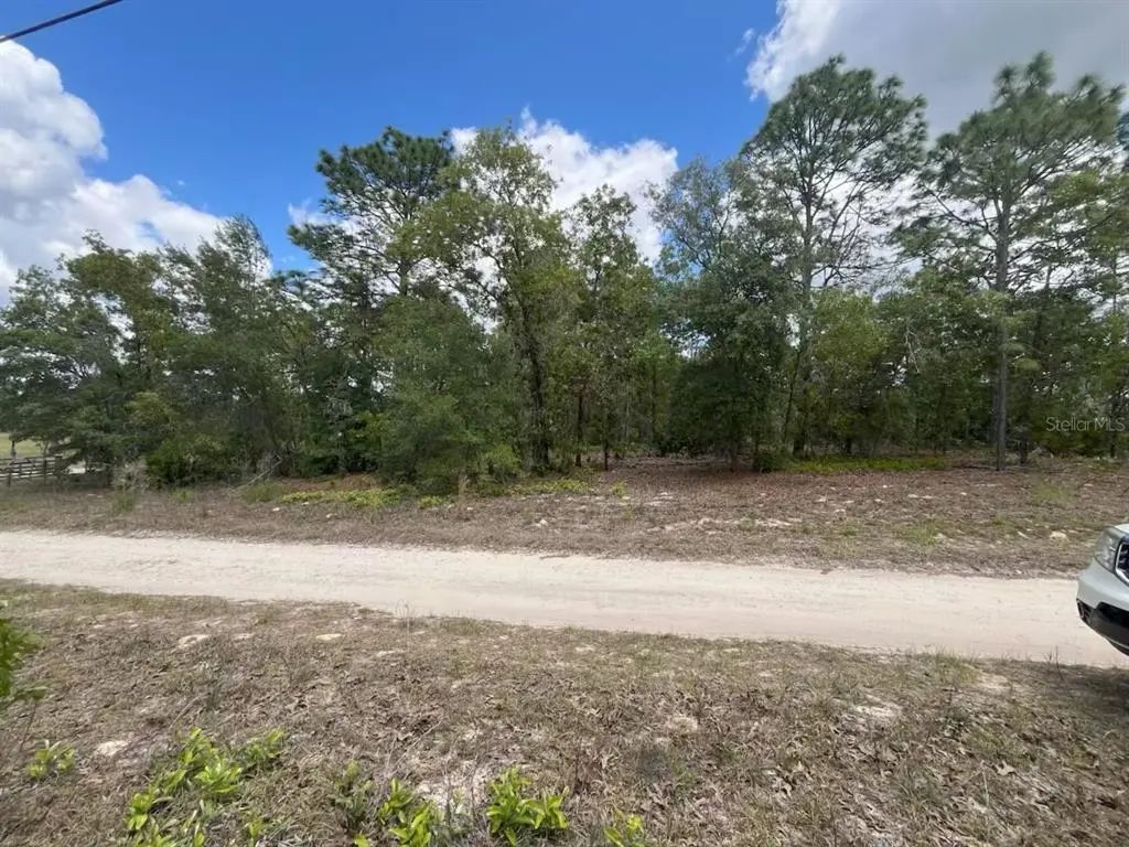 3726 W Spoon Wood Court, DUNNELLON