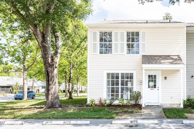 16175 Rambling Vine Drive E, TAMPA