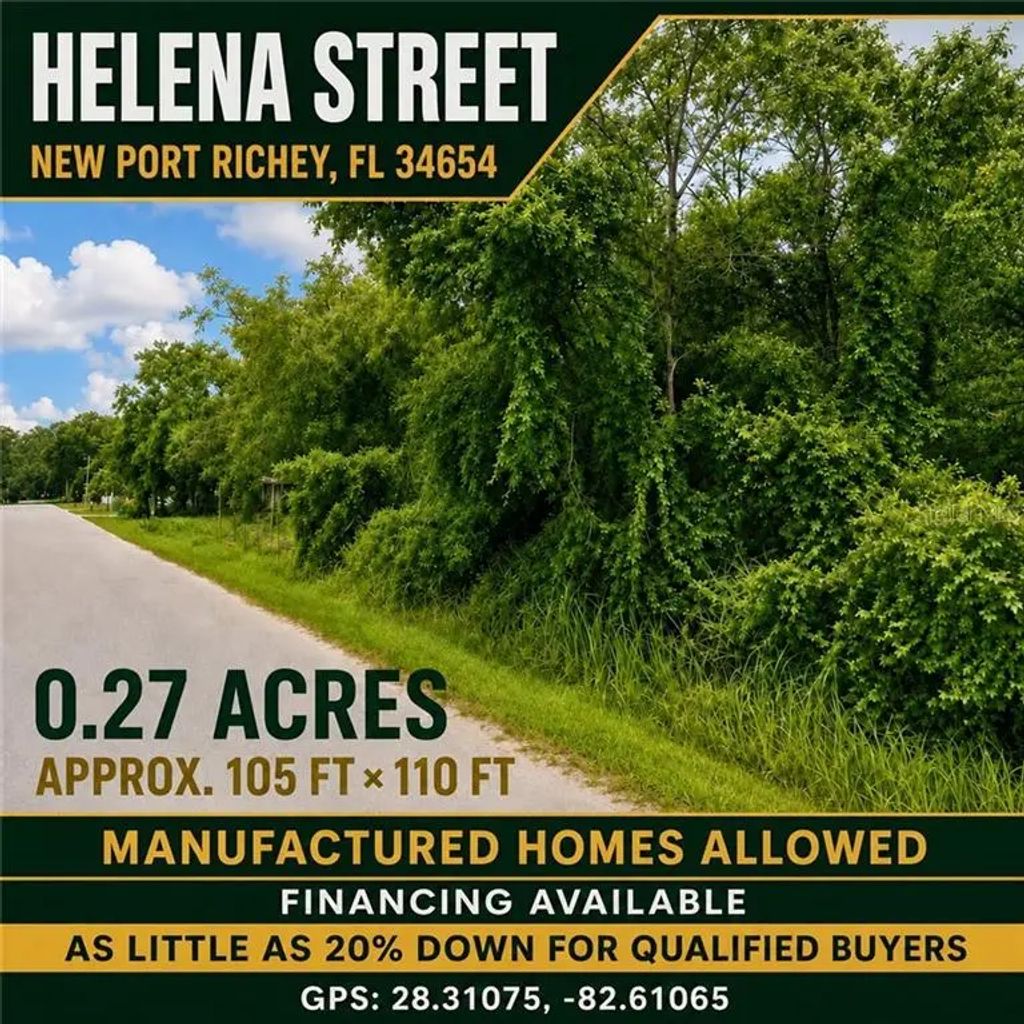 Helena Street, New Port Richey